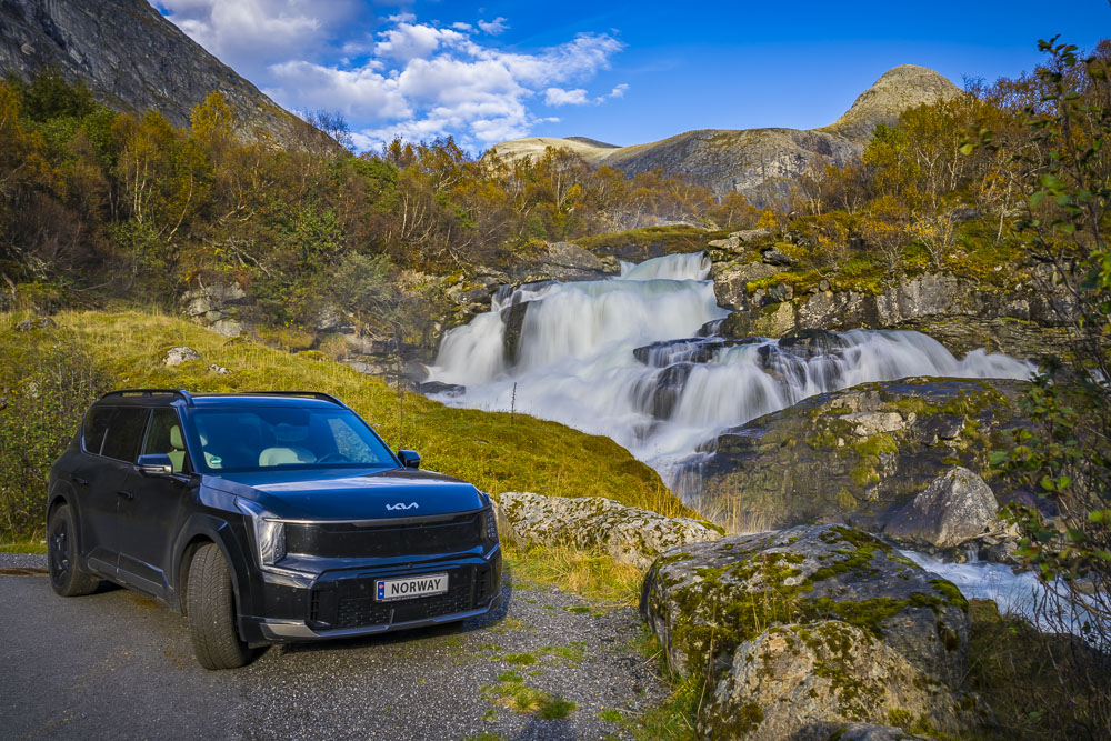 Der Kiwi in Norwegen